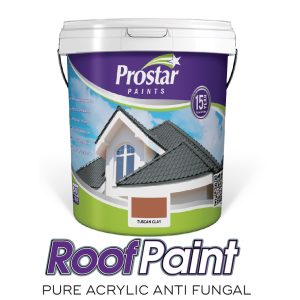 RoofPaint Pure Acrylic Anti-Fungal
